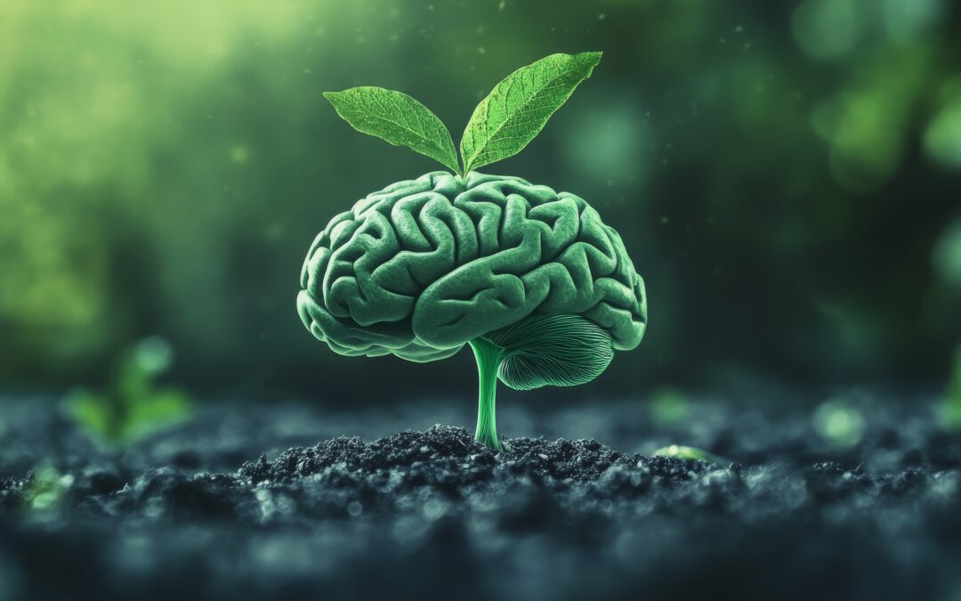 Mindset bei Krebs: Hier liegt Ihr größtes Potential